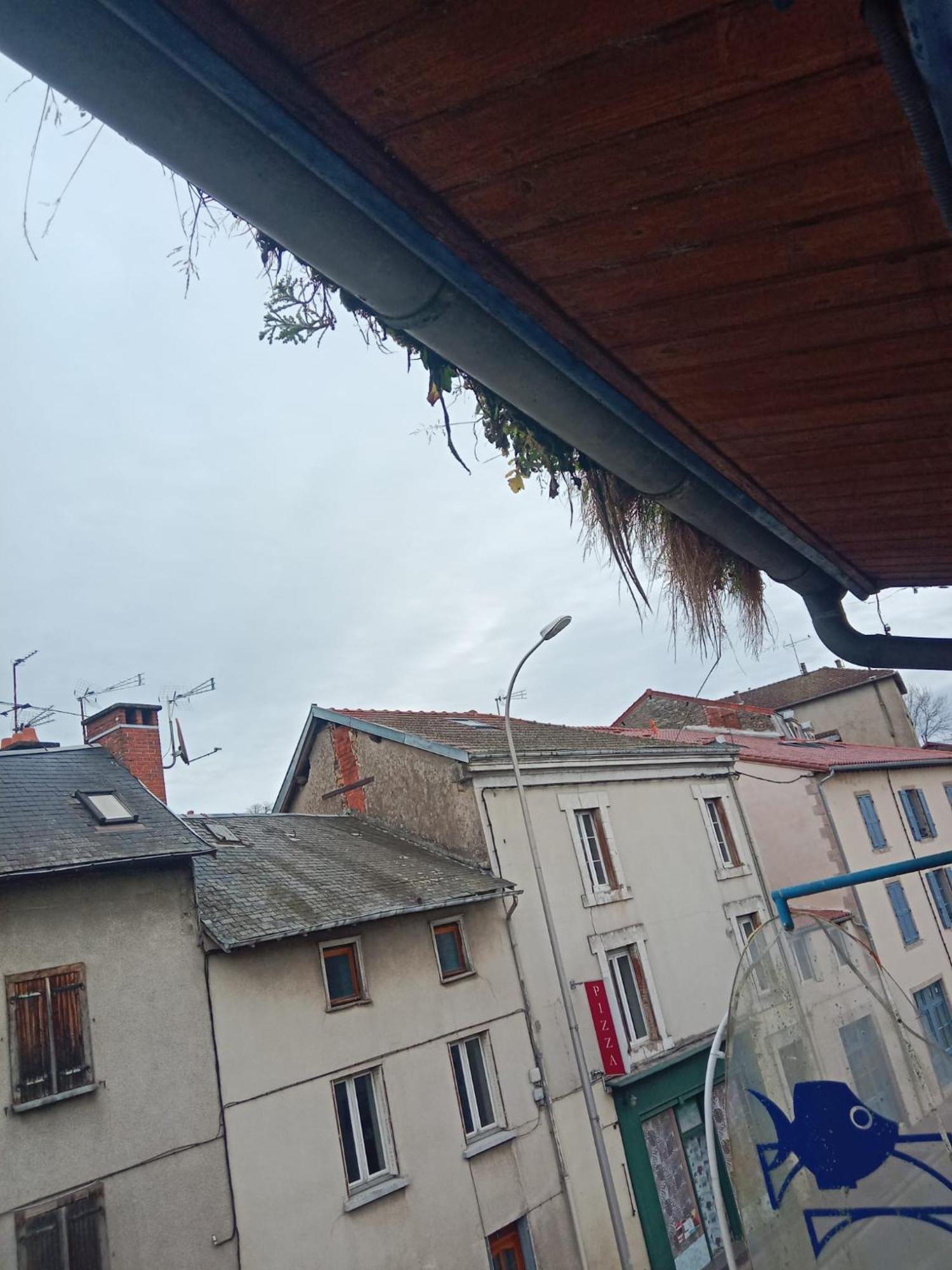 La Coquille D'Or Aixe-sur-Vienne Exterior foto